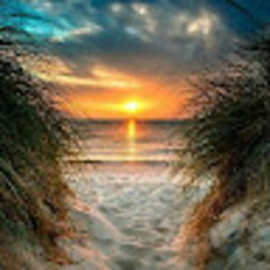 Meet your Posher, Angie